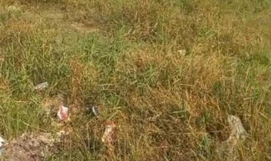 A certeza que os moradores dessa rua não participaram da pesquisa do Furlan: famílias denunciam estado de abandono da rua José Loureira Sena, no Novo Horizonte