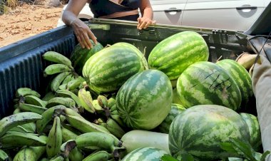 Entrega do PAA CONAB, impulsionada pela emenda de Aline Gurgel, beneficia instituições sociais e agricultores locais